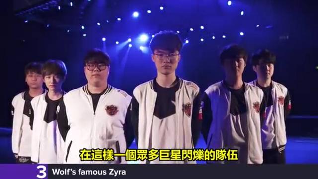 稳定器